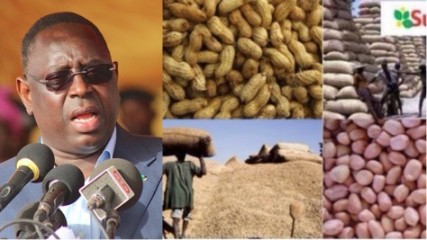 Le Président Macky Sall aux paysans du Saloum : «Ne bradez pas vos arachides »