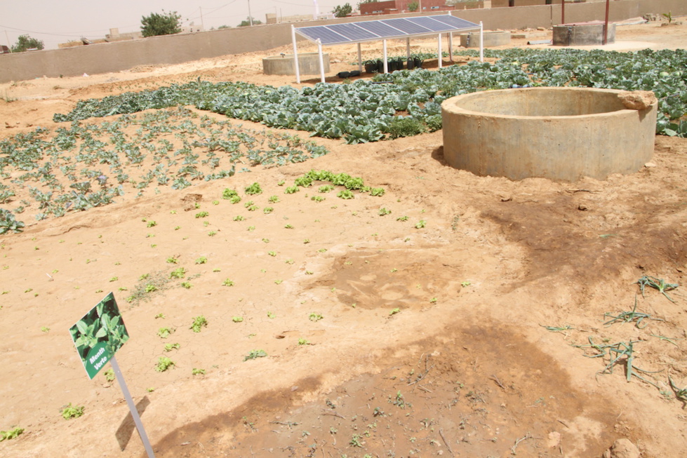 La Fondation Sonatel accompagne le développement du village de Mbakhna