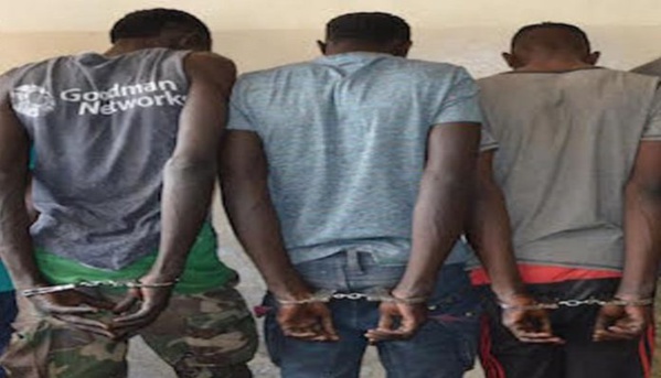 Tambacounda:  192 kg de chanvre indien saisis par la police