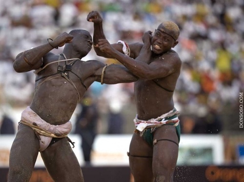 Avec des combats à mains nues : Le drame plane sur l’arène sénégalaise