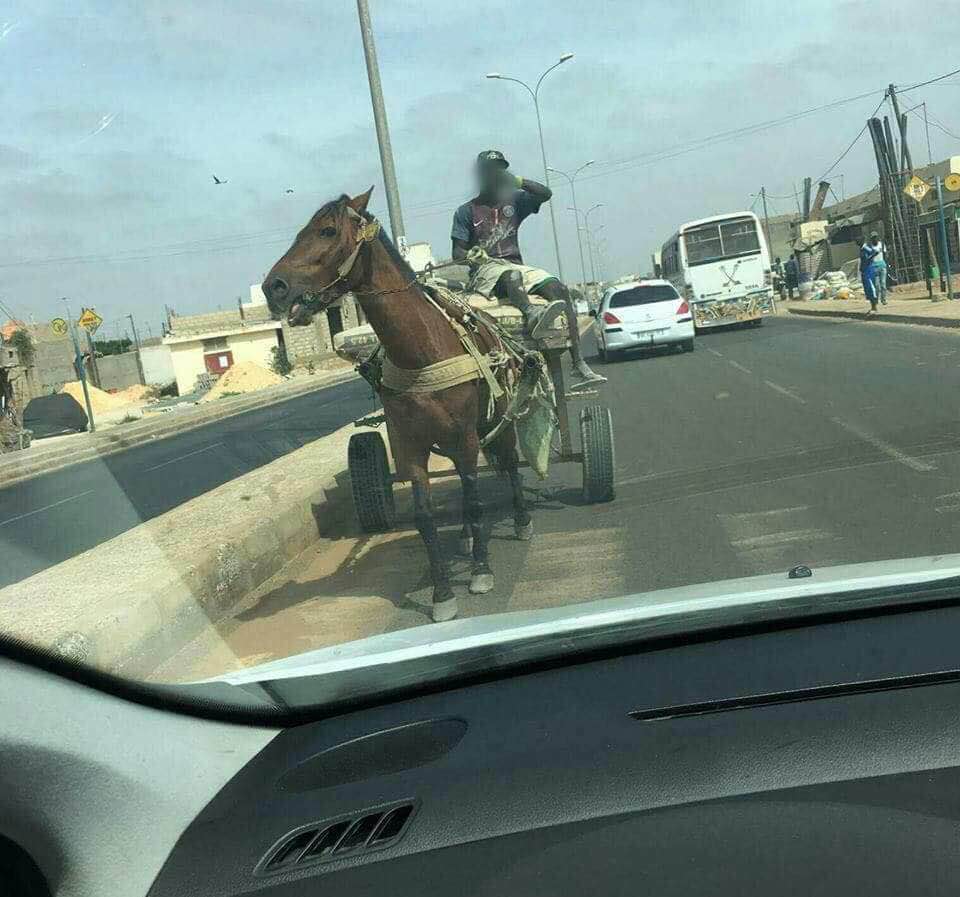 20 photos inédites qui prouvent le manque de civisme des Sénégalais 