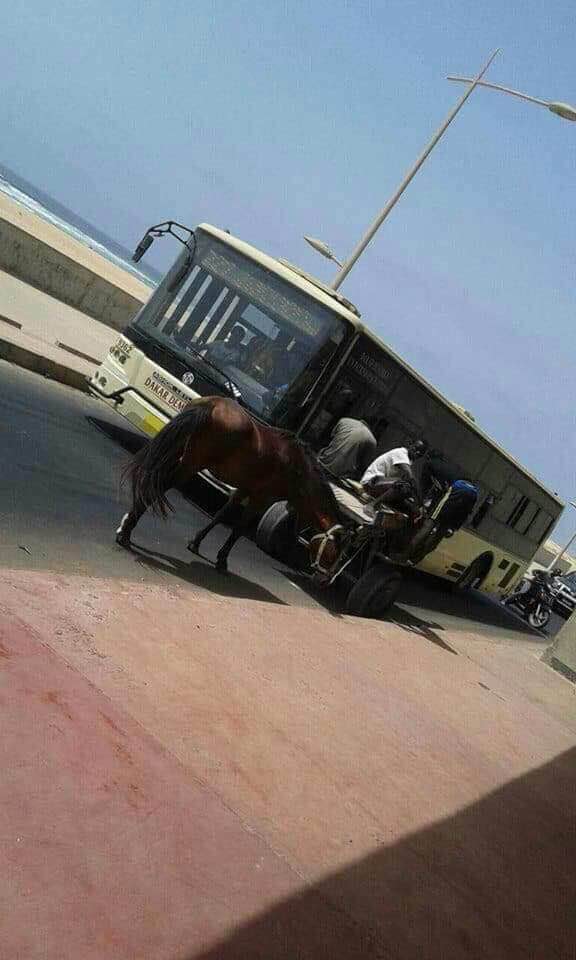 20 photos inédites qui prouvent le manque de civisme des Sénégalais 