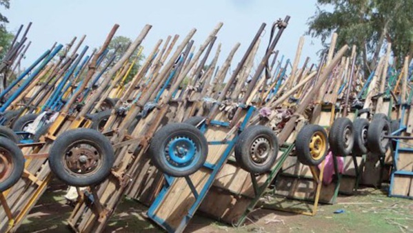 Lutte contre la coupe et le trafic de bois : 167 charrettes, plus de 100 chevaux, des milliers de tronc d’arbres… saisis