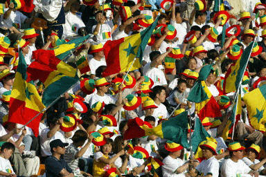 Mondial 2018 : Près de 700 personnes autour des Lions