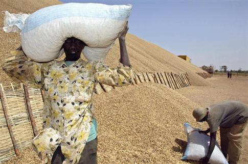 ME ABDOULAYE WADE REVELE DES DETOURNEMENTS DE FONDS ALLOUES AUX PAYSANS : «J'ai lancé une vaste enquête au ministère de l'Agriculture »