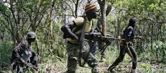 Procès Imam Ndao et Cie- Me Moussa Sarr: « Les actes posés par le Mfdc sont des actes terroristes » Procès Imam Ndao et Cie- Me Moussa Sarr: « Les actes posés par le Mfdc sont des actes terroristes »