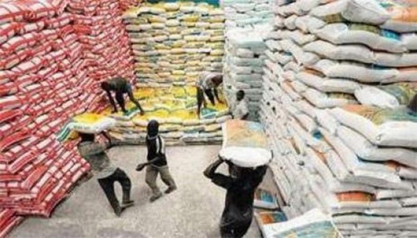 L'Afrique dépense plus de sept milliards de dollars par an pour ses importations de riz