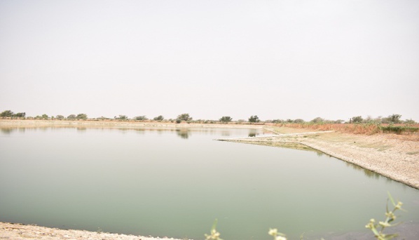 PHOTOS - Onas: Les images de la cérémonie du lancement des travaux  d'assainissement des eaux pluviales à Keur Niang (Touba)