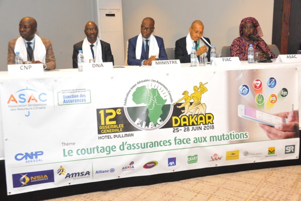 XIIème Assemblée Générale de la Fédération Interafricaine des Assureurs-Conseils: Discours de M. BIRIMA MANGARA, ministre chargé du Budget