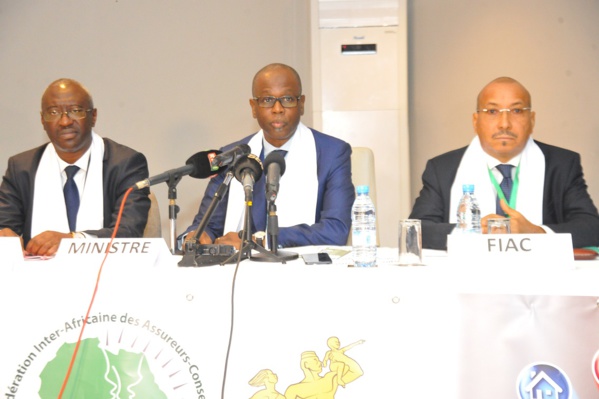 XIIème Assemblée Générale de la Fédération Interafricaine des Assureurs-Conseils: Discours de M. BIRIMA MANGARA, ministre chargé du Budget