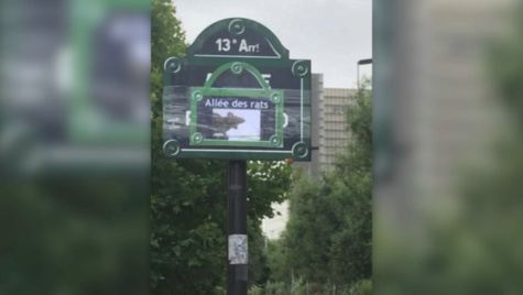 Paris: dans le 13e, une rue rebaptisée "l'allée des rats"