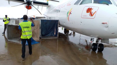 Les Avions de Air Sénégal Sa et Dhl endommagés : Airbus dépêche un expert à Dakar
