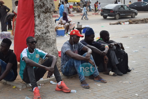 53 photos : Les supporters sénégalais KO après l'élimination des Lions