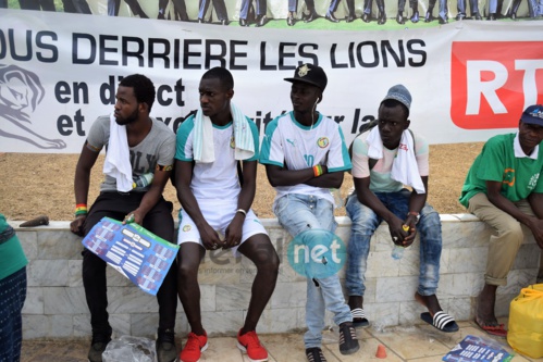 53 photos : Les supporters sénégalais KO après l'élimination des Lions