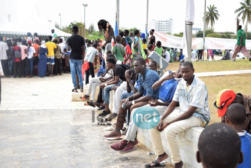 53 photos : Les supporters sénégalais KO après l'élimination des Lions