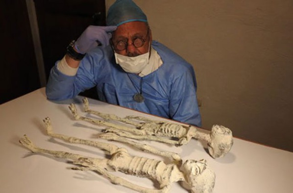 Les Momies de Nazca serait une nouvelle espèce humaine selon un chercheur