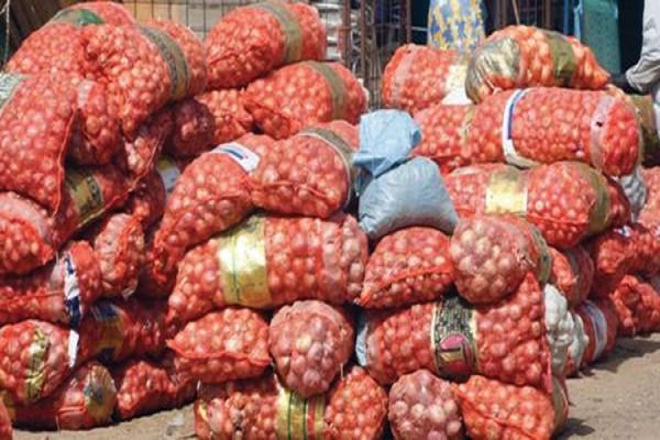 Approvisionnement du marché national: 150 tonnes d’oignon, attendues pour la Tabaski