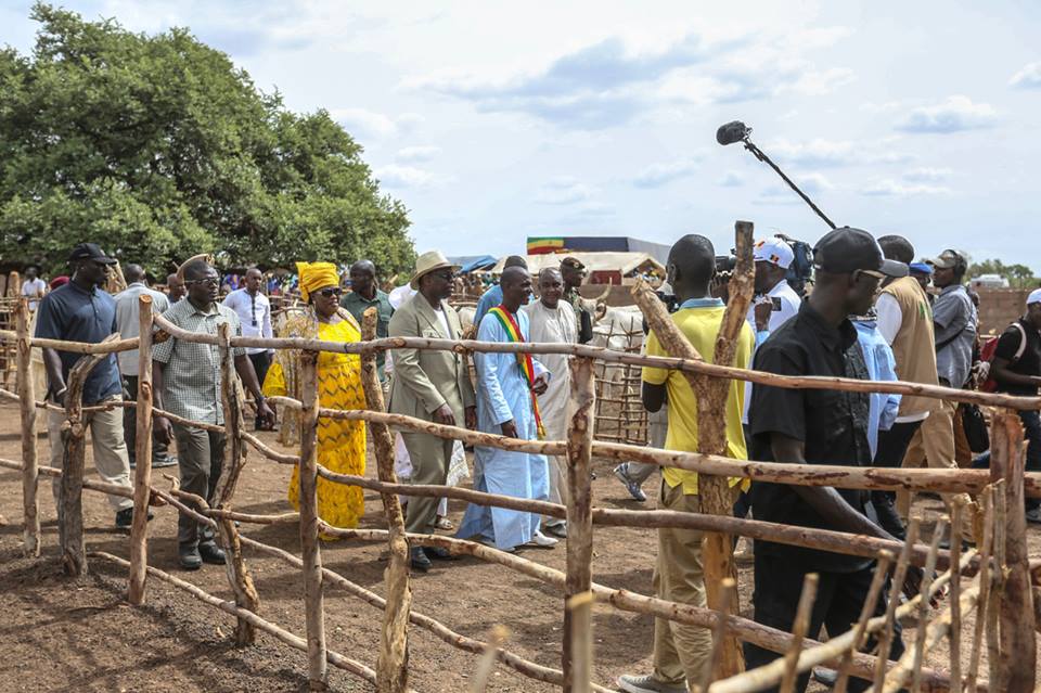 Les images de Macky Sall à Koungheul au chevet des éleveurs sinistrés avec une enveloppe d’un milliard Franc CFA