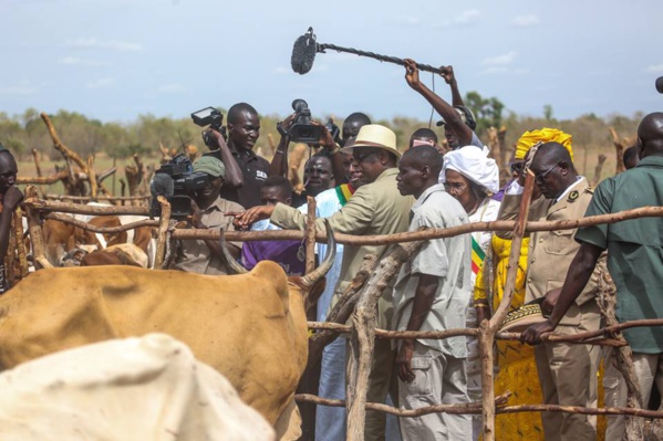 Macky Sall fait le bilan des intempéries: 22 992 moutons, 23 300 caprins et 521 bovins perdus Macky Sall fait le bilan des intempéries: 22 992 moutons, 23 300 caprins et 521 bovins perdus