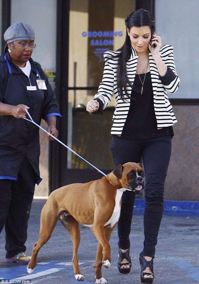 Kim Kardashian dépense 10 000 dollars pour ajouter des... faux testicules à son chien