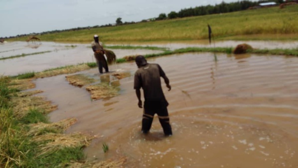 Vidéo: La situation dans le Daandé Maayo reste compliquée, après chaque pluie