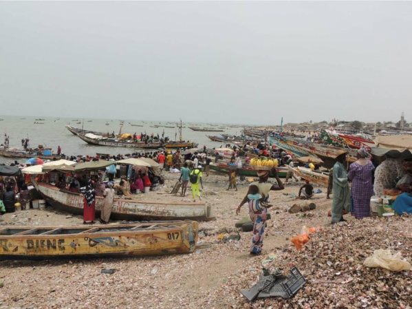 Photos inédites du calvaire des Mbourois : La petite côte est pourtant réputée être une destination touristique prisée Photos inédites du calvaire des Mbourois : La petite côte est pourtant réputée être une destination touristique prisée