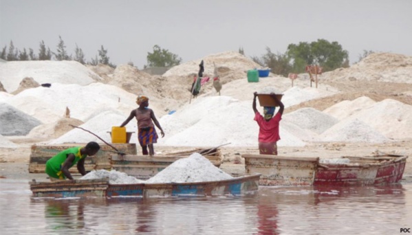 L’industrie alimentaire sénégalaise importe 100.000 tonnes de sel par an (officiel)