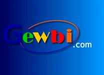 Thiesinfo crée un nouveau site www.gewbi.com
