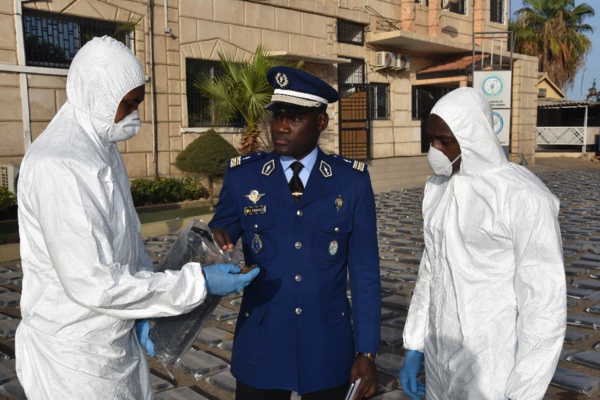 Mbour : 3,2 tonnes de drogue saisies, trois personnes dont une femme arrêtées