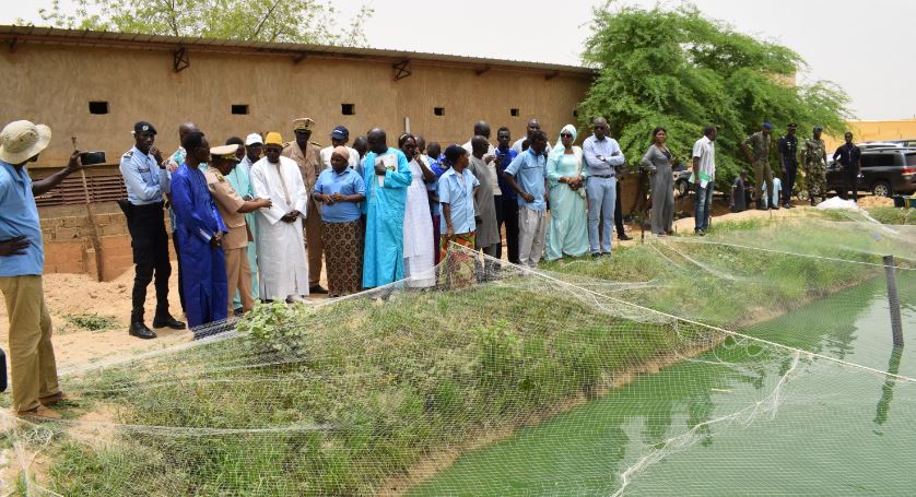 Gaya, Richard-Toll, Podor : L’aquaculture à l’honneur, le Ministre Oumar Guèye traduit la vision du Président en actes Gaya, Richard-Toll, Podor : L’aquaculture à l’honneur, le Ministre Oumar Guèye traduit la vision du Président en actes