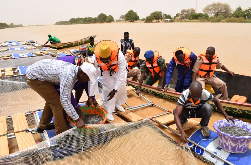 Gaya, Richard-Toll, Podor : L’aquaculture à l’honneur, le Ministre Oumar Guèye traduit la vision du Président en actes