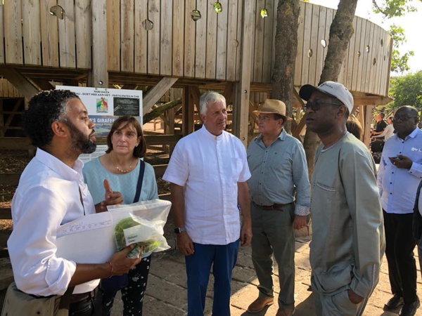 Belgique : Collaboration entre la Pairi Daiza Foundation et la fondation Youssou Ndour