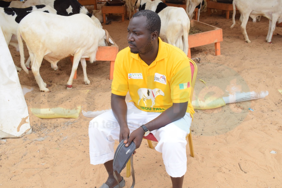 Bergerie Khadim Rassoul : Achetez un mouton moins cher