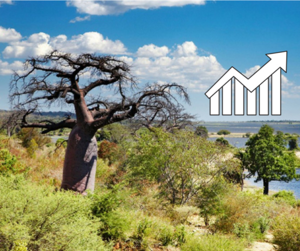 La Casamance sous Macky Sall : les réalisations majeures depuis 2012 et les nouvelles initiatives