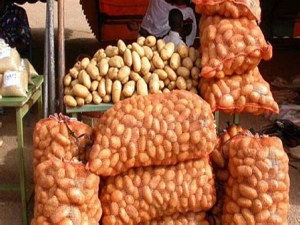 Tabaski 2018 : Le sac de pommes de terre passe de 7 000 à 12 000 FCFA !
