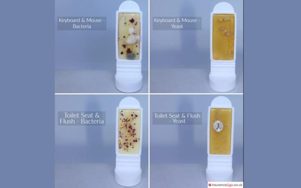 Cuvette toilettes sale