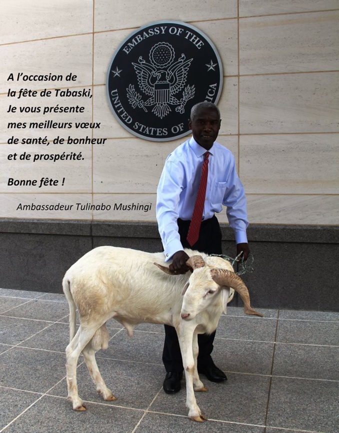 Le mouton de Tabaski de l’ambassadeur des USA à Dakar