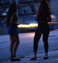 Poursuivies pour détention et usage de chanvre indien : Deux prostituées condamnées à un mois de prison ferme