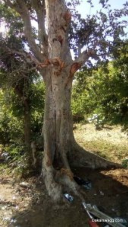 05 Photos: Les images de l’accident du journaliste Ndéné Biteye de Walf 05 Photos: Les images de l’accident du journaliste Ndéné Biteye de Walf