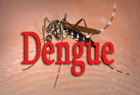 Dengue à Fatick : un 9é cas chez une dame de 55 ans Dengue à Fatick : un 9é cas chez une dame de 55 ans
