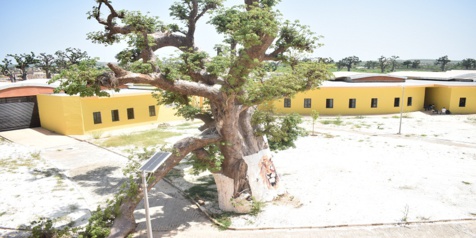 Photos: Découvrez le Centre Sectoriel de formation professionnelle aux métiers de la mécanique et des engins motorisés (CSFP-MEM) de Diamniadio Photos: Découvrez le Centre Sectoriel de formation professionnelle aux métiers de la mécanique et des engins motorisés (CSFP-MEM) de Diamniadio
