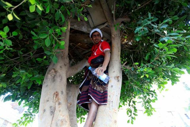 Ahmed Houbeichi dans la cabane qu'il s'est construite dans un arbre en plein Sanaa, capitale du Yémen. Photo prise le 4 octobre 2018