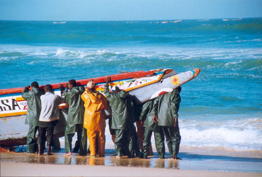 Accrochage entre pêcheurs guinéens et sénégalais au port de pêche artisanale de Bonfi : ce qui s’est réellement passé