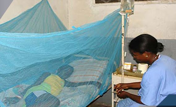 Dengue: l’épidémie se propage dans le nord du Sénégal Dengue: l’épidémie se propage dans le nord du Sénégal