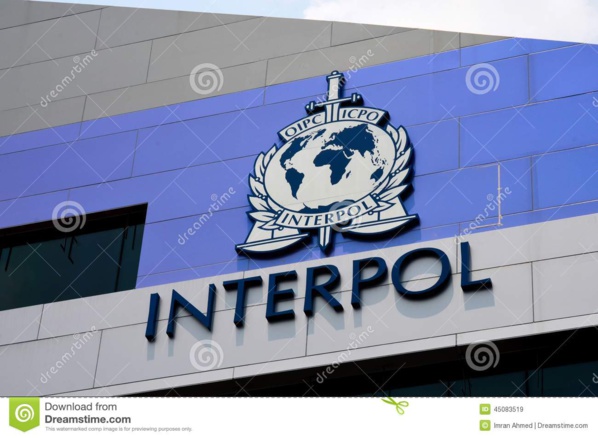 Vente de produits sexuels: Les dessous d’une intervention rondement menée par Interpol