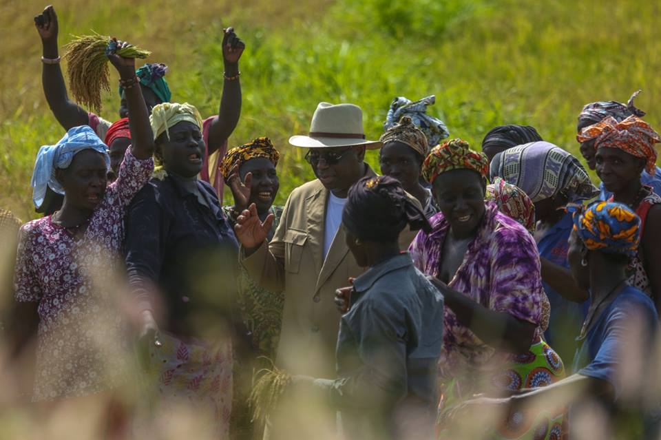 Photos : Macky Sall avec les femmes de Bignona dans les rizières de Diaroumé