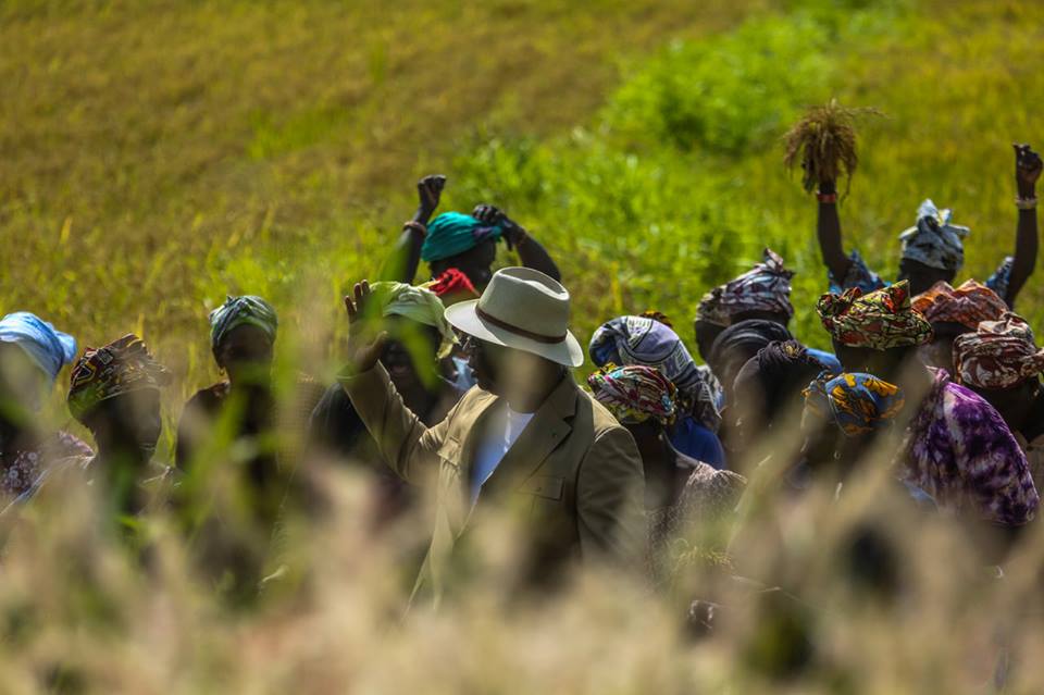 Photos : Macky Sall avec les femmes de Bignona dans les rizières de Diaroumé