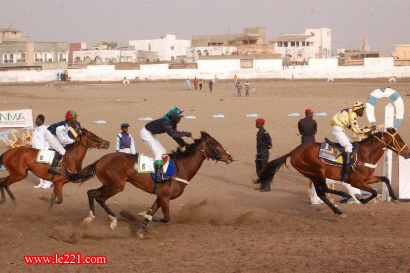 Courses hippiques: Machallah remporte le Gp du Chef de l’Etat