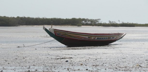 Podor: Le naufrage d'une pirogue fait 4 morts et 3 blessés