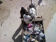 Modou Guèye, ramasseur d’ordures à bord de charette : « qu’on arrête de nous traiter de voleurs ! »
